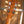 Gibson Les Paul Standard '50s Honey Amber