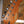 Patina PJ-6 CAR Candy Apple Red Nitro