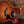 Taylor 354ce Studio Special Edition Honeyburst