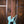 Dingwall D-Roc 4-string Ducati Matte Celestial Blue