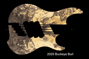 Dingwall Custom Shop Z3X-5 Buckeye Burl Natural to Black Burst PRE-ORDER!