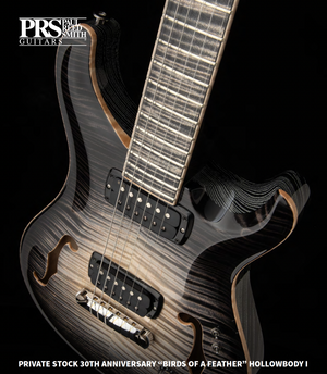 PRS Private Stock 30th Anniversary “BIRDS OF A FEATHER” Hollowbody