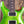 PRS Custom 24-08 Eriza Verde