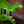 PRS Custom 24-08 Eriza Verde