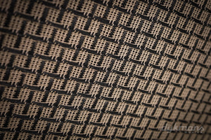 Benson Earhart Reverb Combo