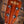 Kala Concert Ukulele Solid Top Spruce Gloss