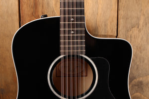 Taylor 250ce-BLK DLX B-stock