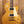 Epiphone Les Paul Standard 50s Metallic Gold