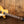 Epiphone Les Paul Standard 50s Metallic Gold
